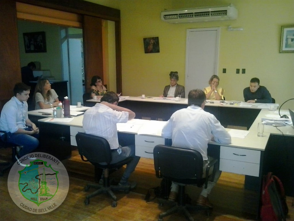 Ordenanzas y Resoluciones aprobadas en la sesión extraordinaria del día 24/01/2019